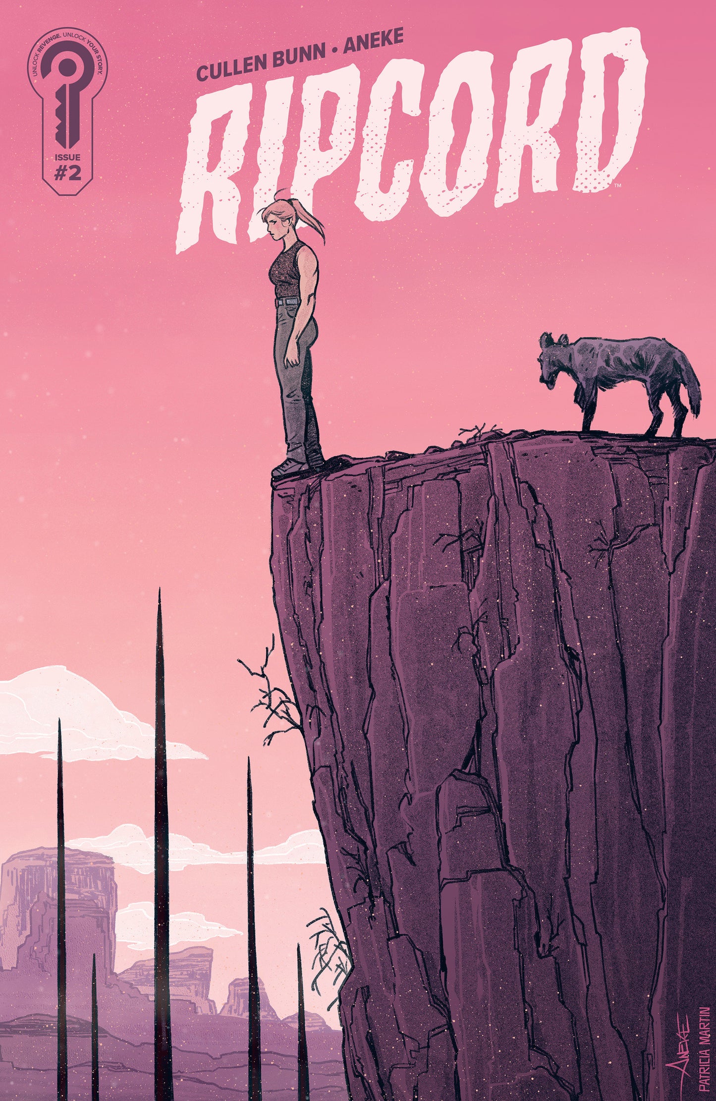 RIPCORD #2 COVER B ANEKE (Backorder, Allow 4-5 Weeks)