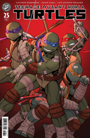 TEENAGE MUTANT NINJA TURTLES #25 COVER A