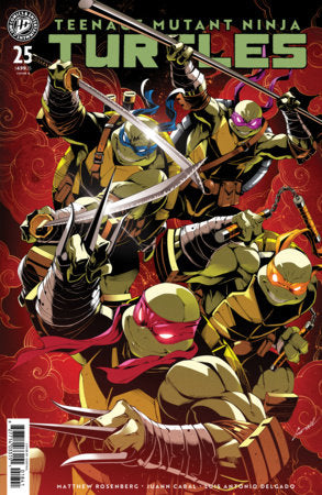 TEENAGE MUTANT NINJA TURTLES #25 VAR B