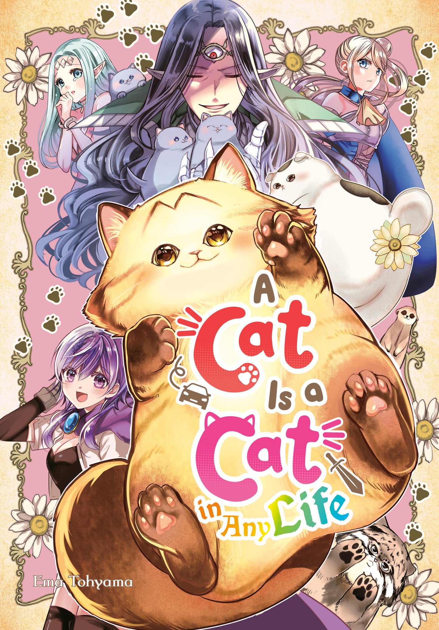 A CAT IS A CAT IN ANY LIFE TP (Backorder, Allow 4-5 Weeks)