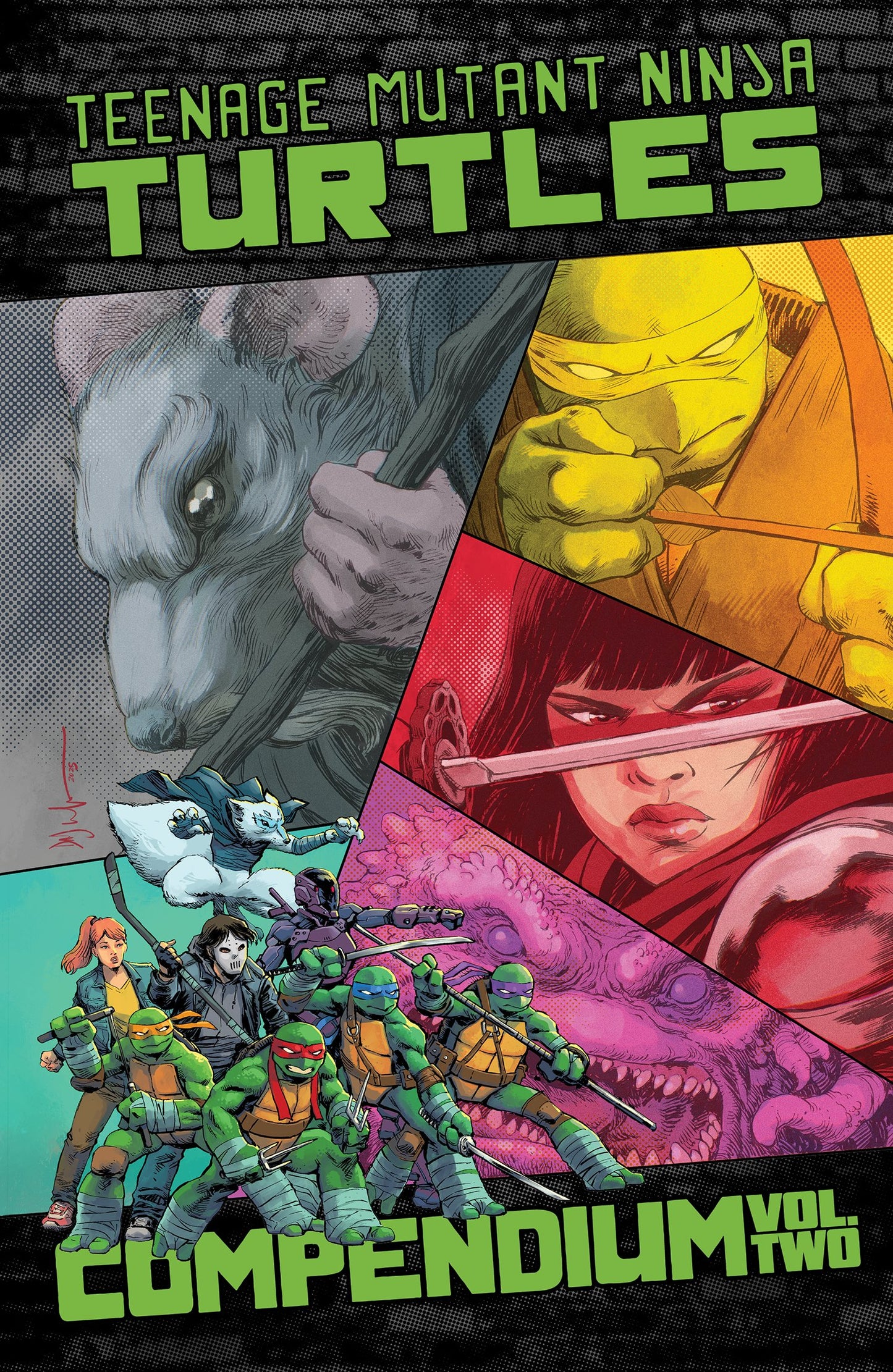 TEENAGE MUTANT NINJA TURTLES: ONGOING COMPENDIUM, VOL. 2 TP (Backorder, Allow 4-5 Weeks)