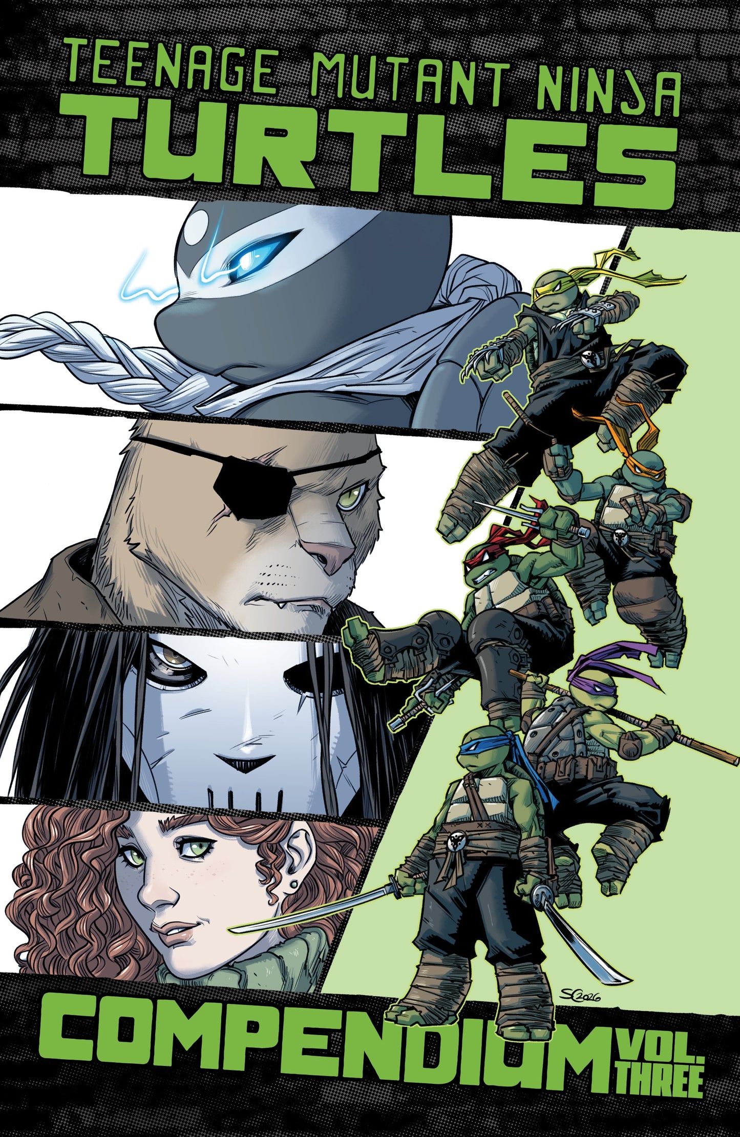 TEENAGE MUTANT NINJA TURTLES: ONGOING COMPENDIUM, VOL. 3 TP