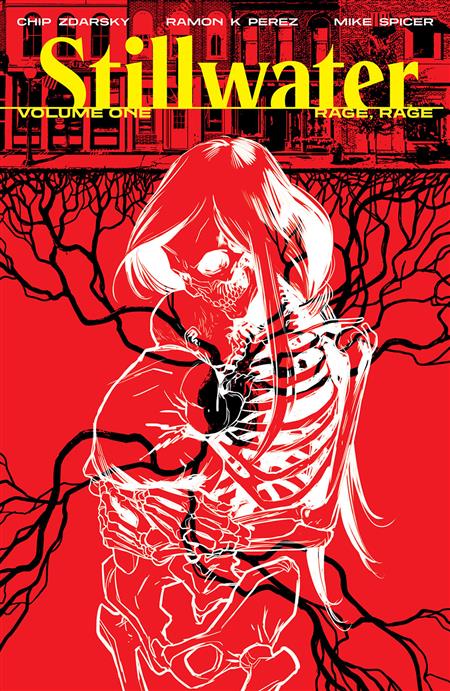 STILLWATER BY ZDARSKY & PEREZ TP VOL 01 (MR) (Backorder, Allow 4-5 Weeks)