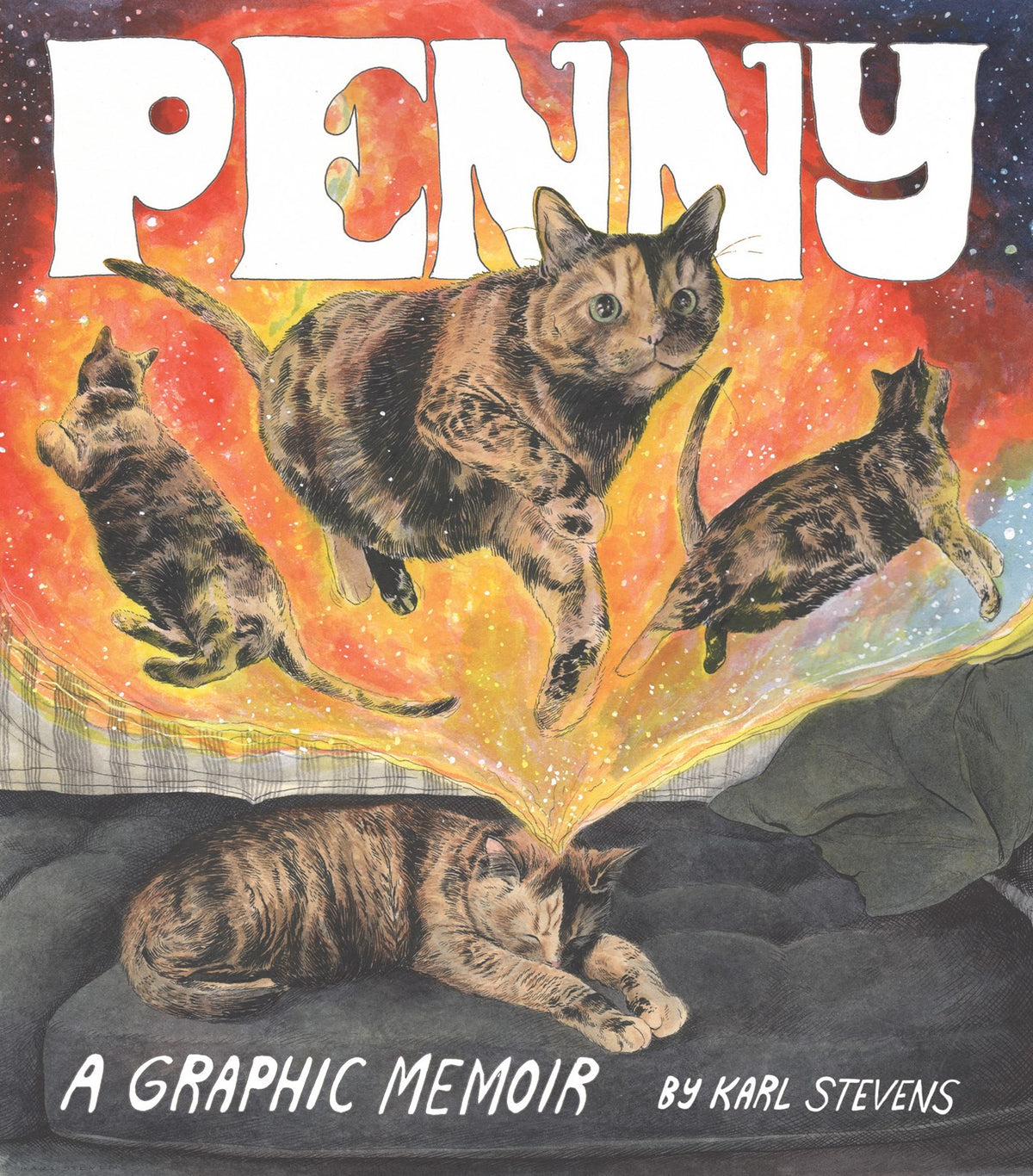 PENNY A GRAPHIC MEMOIR TP (Backorder, Allow 4-5 Weeks)