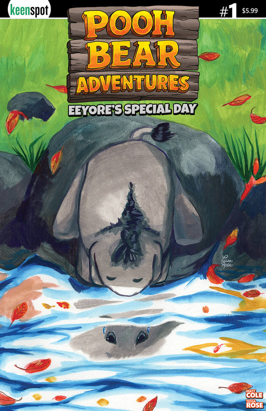 POOH BEAR ADVENTURES EEYORES SPECIAL DAY #1