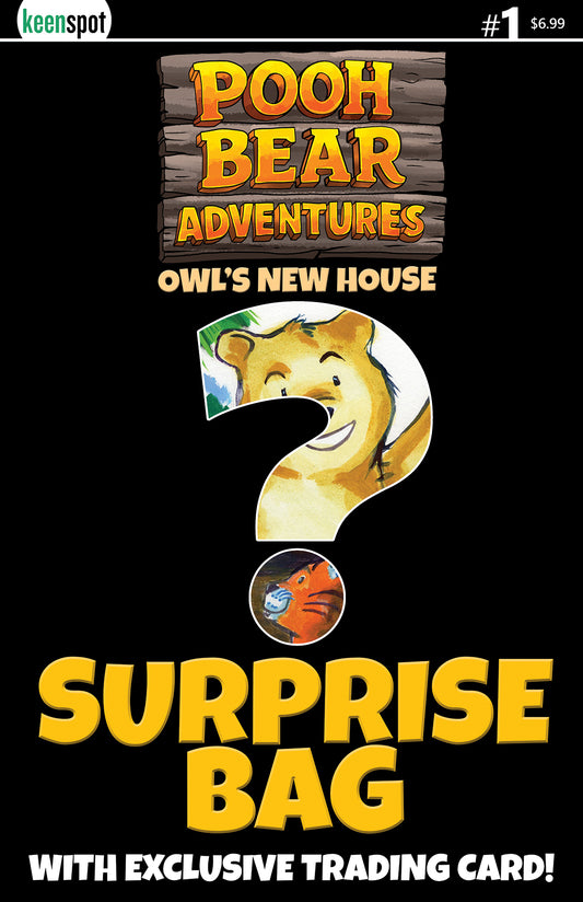 POOH BEAR ADVENTURES OWLS NEW HOUSE #1