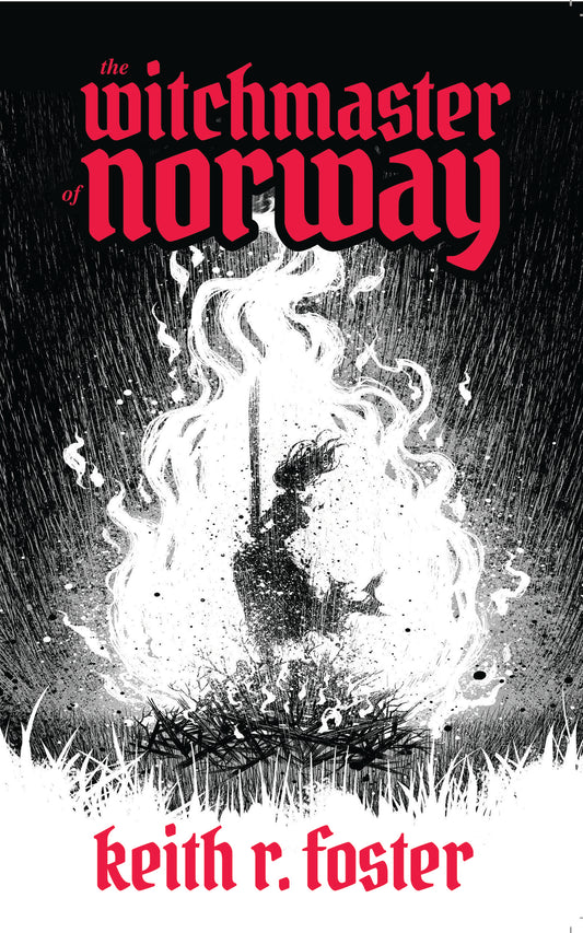 WITCHMASTER OF NORWAY TP AN ILLUSTRATED NOVEL | MASSIVE PUBLISHING | Comicbookeroo