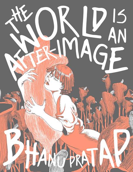 WORLD IS AN AFTER-IMAGE HC (MR) | FANTAGRAPHICS | Comicbookeroo