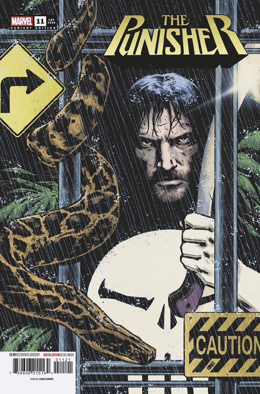 PUNISHER #11 COVER B JORGE FORNES VAR | MARVEL | Comicbookeroo