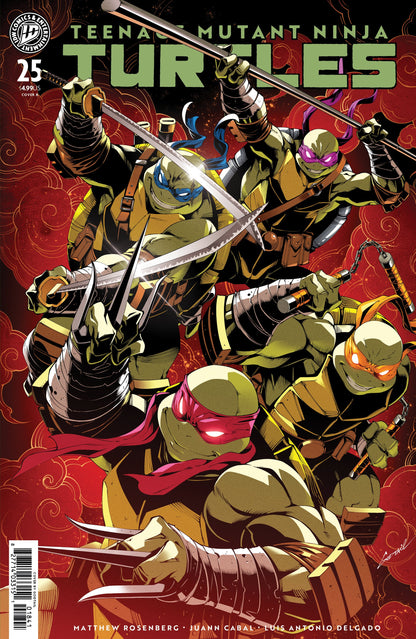 TEENAGE MUTANT NINJA TURTLES #25 VAR B