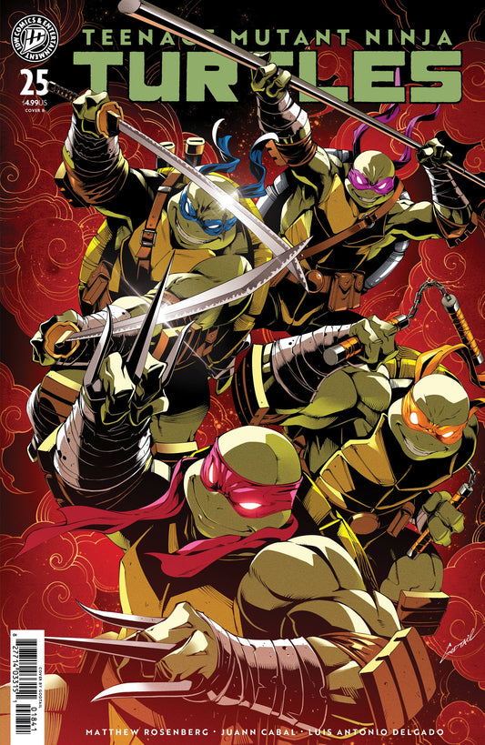 TEENAGE MUTANT NINJA TURTLES #25 VAR B