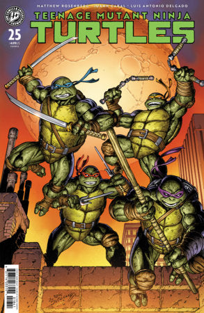 TEENAGE MUTANT NINJA TURTLES #25 VAR D