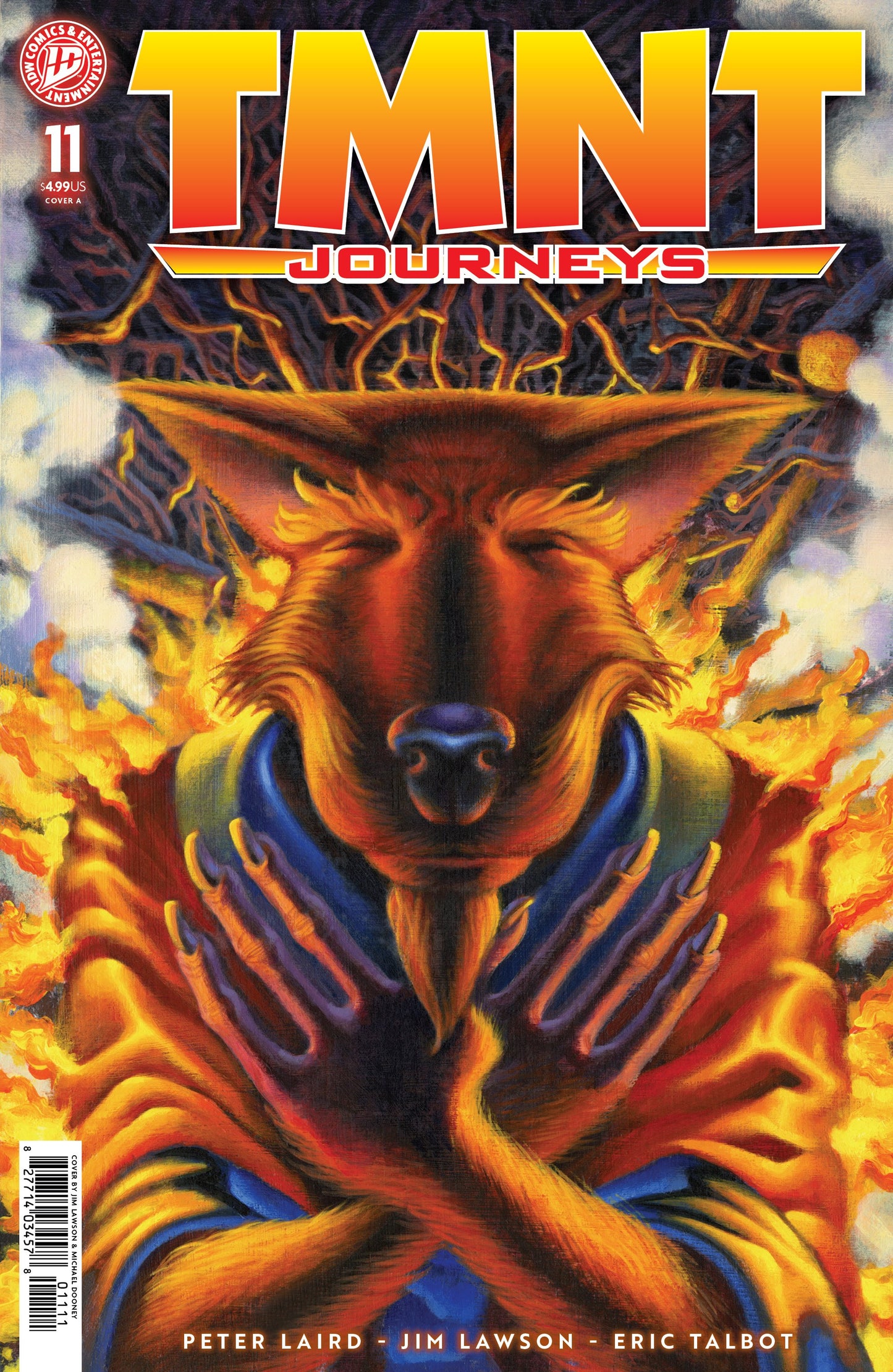 TEENAGE MUTANT NINJA TURTLES JOURNEYS #11 COVER A (DOONEY & LAWSON) (Backorder, Allow 4-5 Weeks)