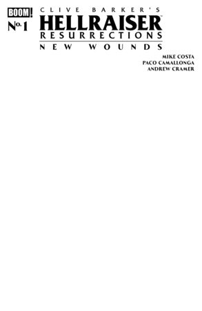 HELLRAISER: RESURRECTIONS - NEW WOUNDS #1 C BLANK SKETCH VAR