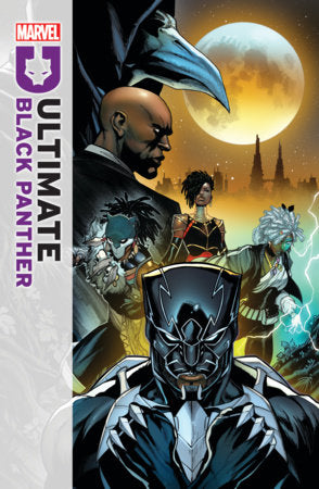 ULTIMATE BLACK PANTHER BY BRYAN HILL TP VOL 02 GODS & KINGS (16 Apr Release) - Comicbookeroo