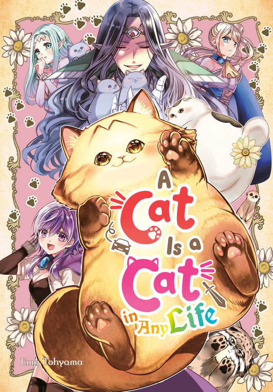 A CAT IS A CAT IN ANY LIFE TP (Backorder, Allow 4-5 Weeks)