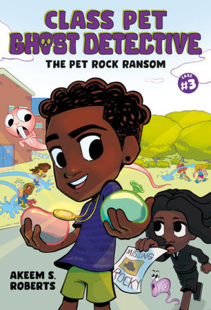 THE PET ROCK RANSOM: A GRAPHIC NOVEL HC