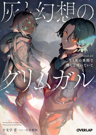 GRIMGAR OF FANTASY AND ASH