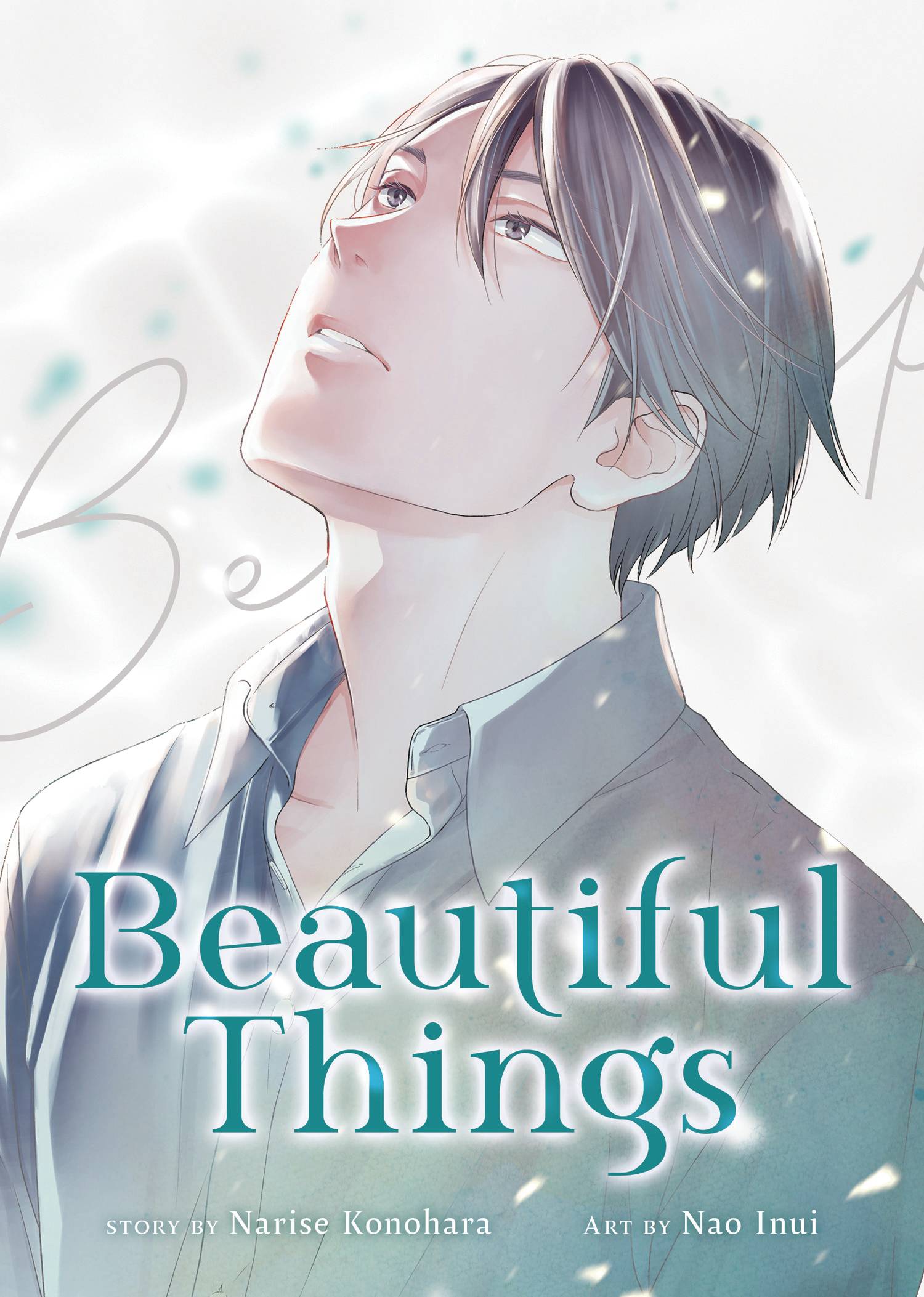 BEAUTIFUL THINGS COMPLETE MANGA COLL GN (18 Dec Release) - Comicbookeroo