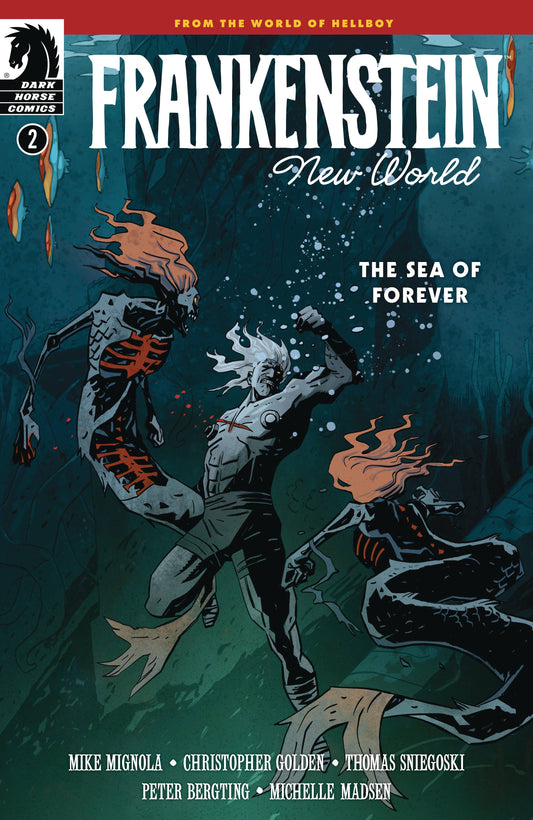 FRANKENSTEIN NEW WORLD SEA OF FOREVER #2 (12 Mar Release) - Comicbookeroo