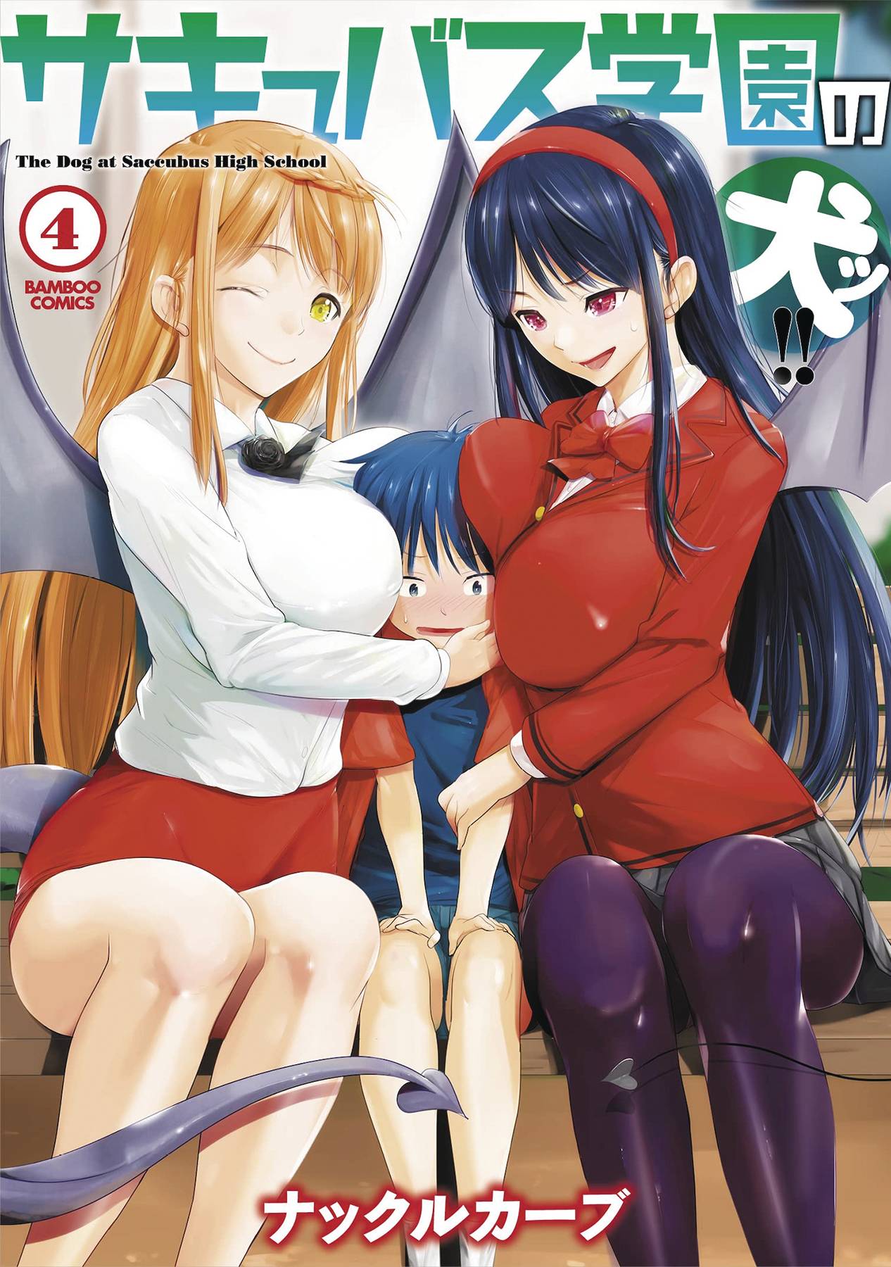 WELCOME TO SUCCUBUS HIGH GN VOL 04 (MR) (Backorder, Allow 4-5 Weeks)