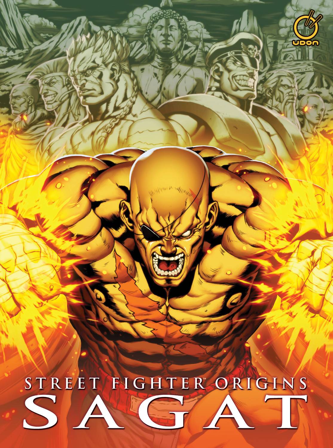 STREET FIGHTER ORIGINS SAGAT HC (Backorder, Allow 4-5 Weeks) - Comicbookeroo