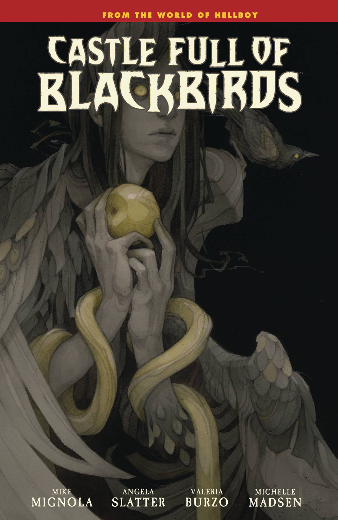 CASTLE FULL OF BLACKBIRDS HC (Backorder, Allow 4-5 Weeks) - Comicbookeroo