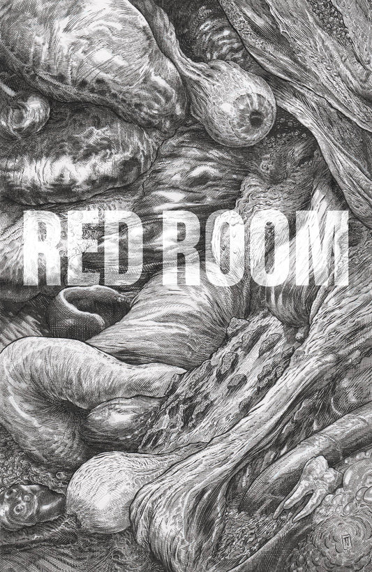 RED ROOM #2 CVR B NIXEY 1:5 INCV FOC INCV - Comicbookeroo Australia